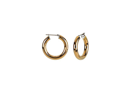 Gold Plated | Fashion Earrings